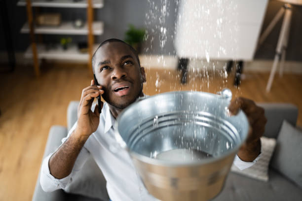 Best Ceiling water damage repair  in South Chicago Heights, IL