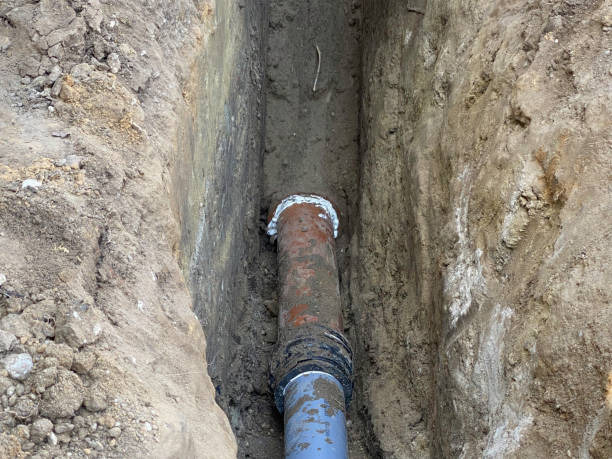 Best Sewage cleanup and water damage restoration  in South Chicago Heights, IL