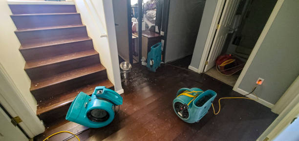 Best Local water damage restoration  in South Chicago Heights, IL