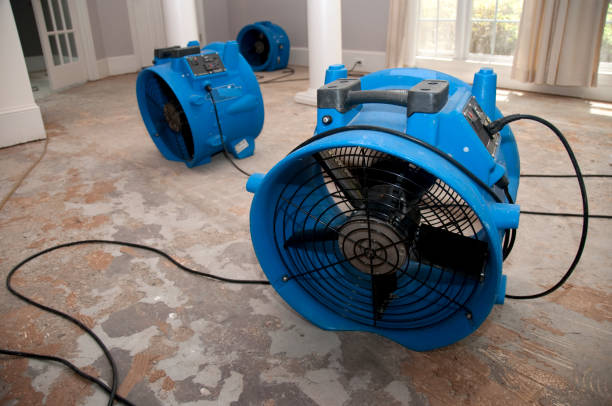 Best Emergency water damage restoration  in South Chicago Heights, IL