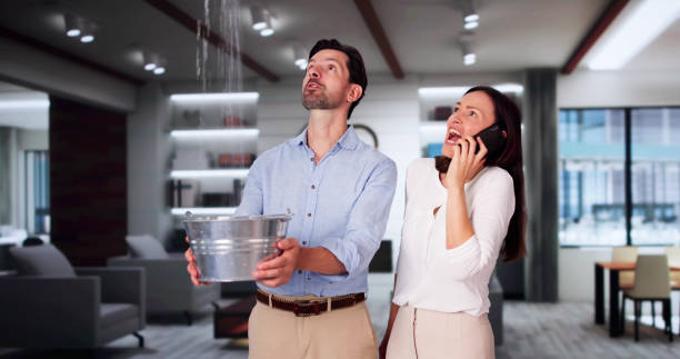 Best Water damage cleanup near me  in South Chicago Heights, IL